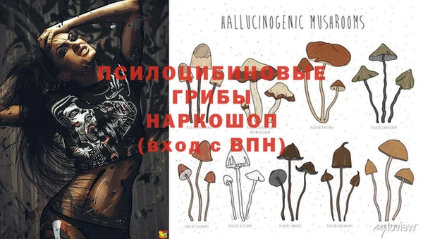дурь Сатка