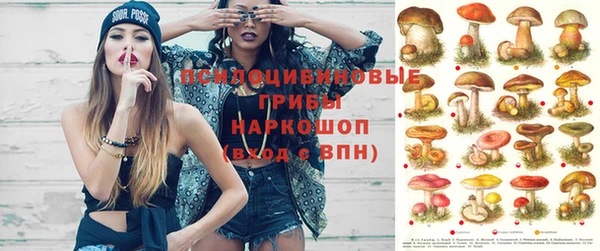 прущая мука Алзамай