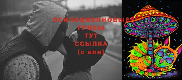 прущие грибы Алексеевка