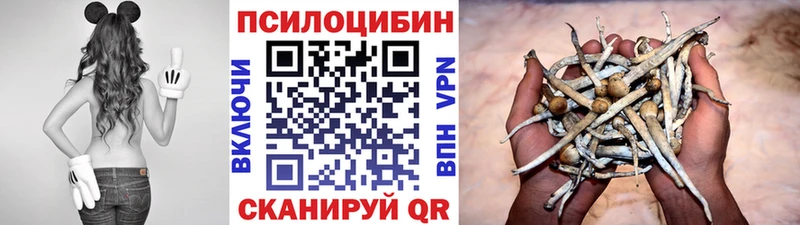 kraken зеркало  Камешково  Псилоцибиновые грибы Psilocybe  наркошоп 